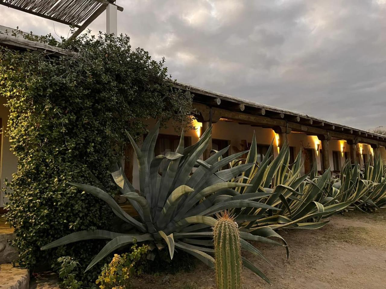 Hotel Texas Cafayate Εξωτερικό φωτογραφία